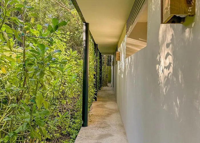Dream House! Sweet, Calm Ph, Private Pool, Cenote *
